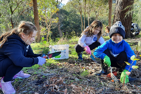 Give our bushland a boost children planting