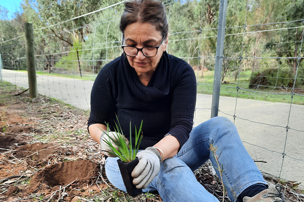 Give our bushland a boost community member