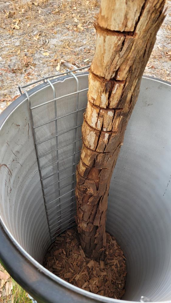 inside one of the cockatube artificial nesting hollows installed in conservation reserves in Huntingdale