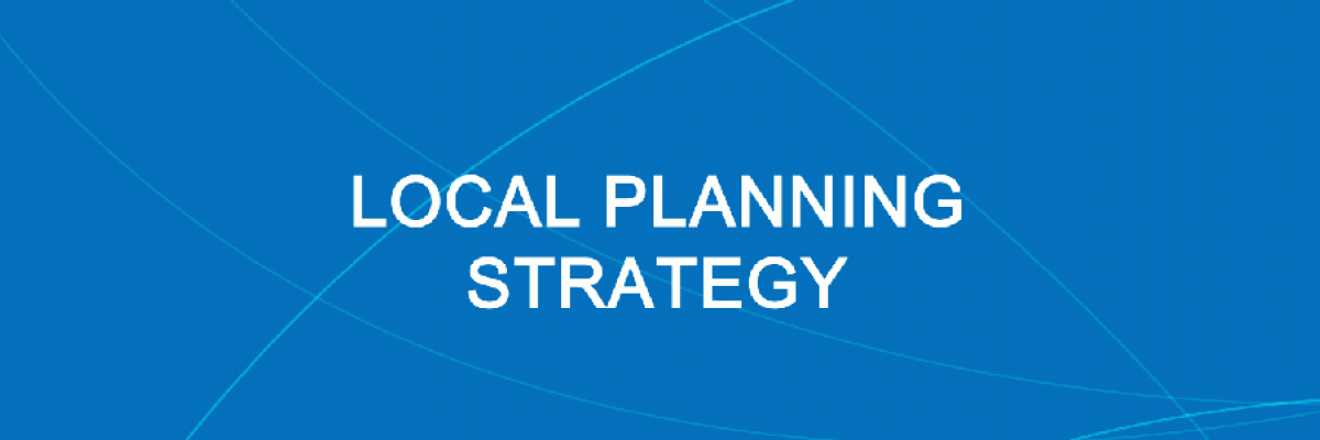 Local planning strategy