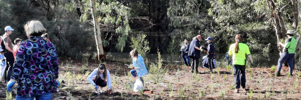Community help needed to plant 6,500 trees for National Tree Day