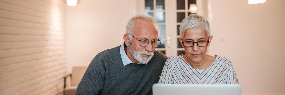Senior couple looking at computer