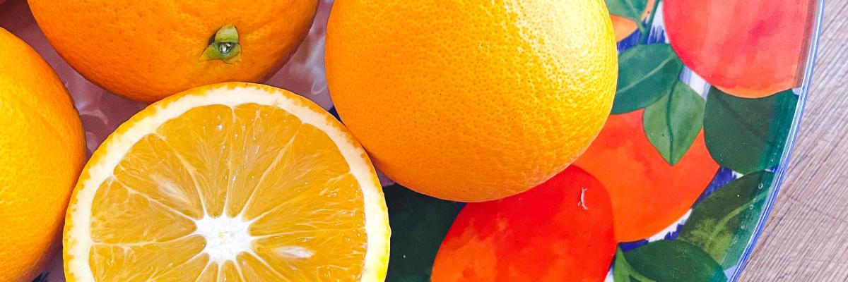 All Things Citrus Workshop at the Museum 