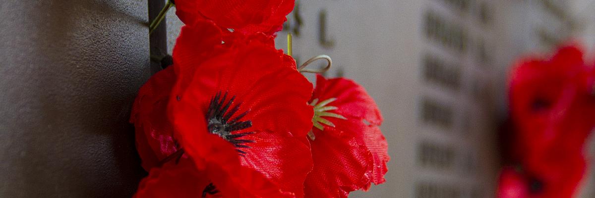 Red poppies of remembrance, hung upon a wall of fallen soldiers' names