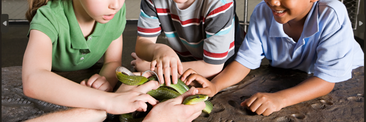 Kids with a green snake