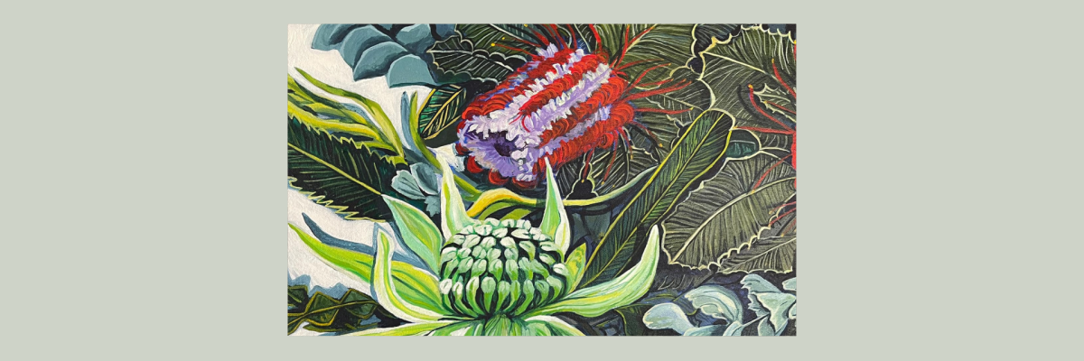 Artwork of some Australian native plants