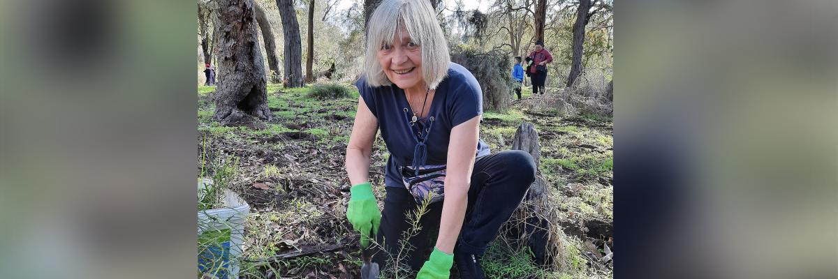 Dig in to plant out thousands of native plants as part of Give Our Bushland a Boost in the City of Gosnells on Sunday 21 June.