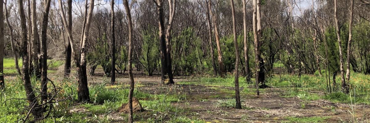 Hester Park City of Gosnells