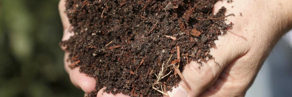 Person holding compost in their hands