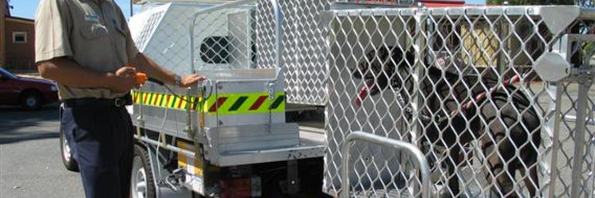 Ranger with dog in cage