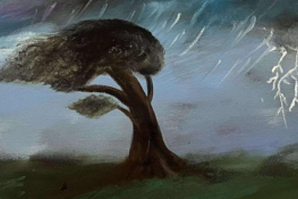 Tree blowing in a big storm. Dark colours and gloomy weather.