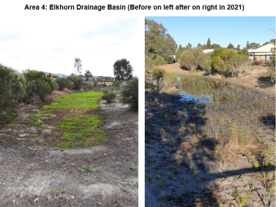 Before and after shots of Elkhorn Drainage Basin