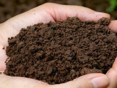 healthy soil