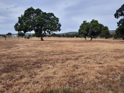 Harmony Fields