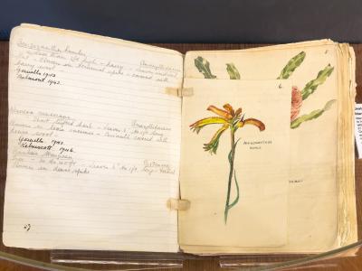 Image of sketchbook with text and drawings