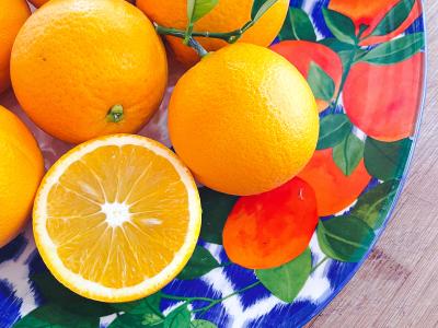 All Things Citrus Workshop at the Museum 
