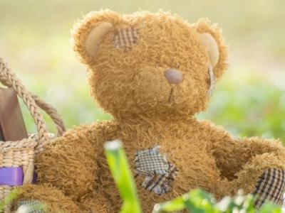 Bear on Picnic Rug