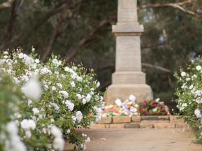 Anzac memorial at the Civic Centre Gardens