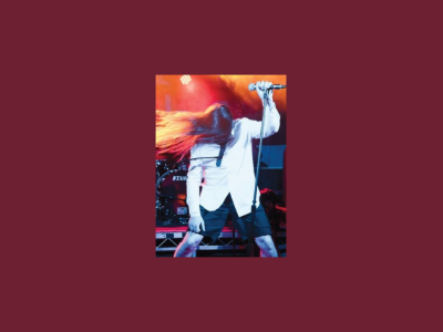 Rock singer with long hair swings it around onstage, whilst holding a microphone on a stand.