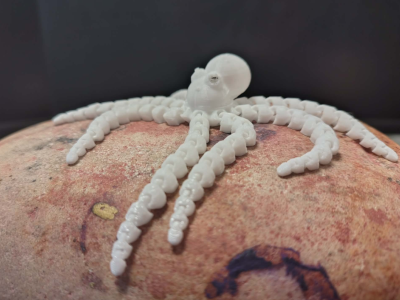 3D printed octopus sitting on a rock