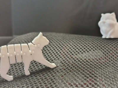 3D printed cat and fox