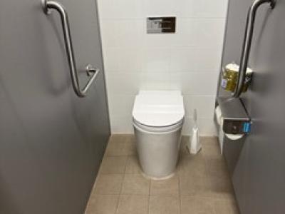 Ambulant toilet