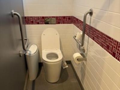 Ambulant toilet