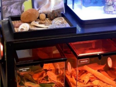 Nature Station