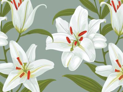 Image of white flowers as a pattern