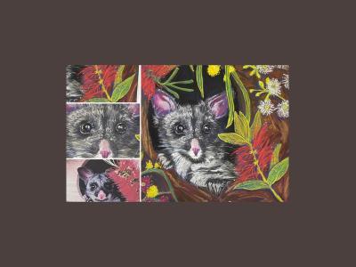 Possums