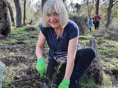 Dig in to plant out thousands of native plants as part of Give Our Bushland a Boost in the City of Gosnells on Sunday 21 June.