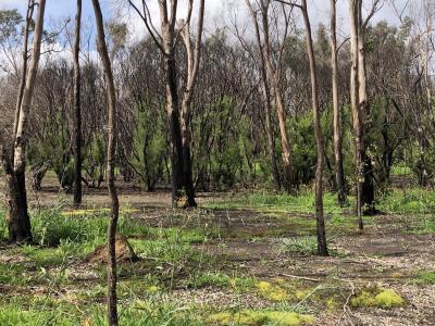 Hester Park City of Gosnells