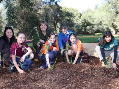 Swingler Park 