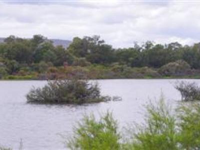 mary carroll park wetlands